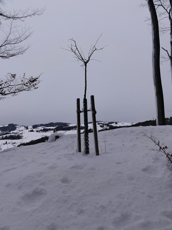 2012 12 20 A